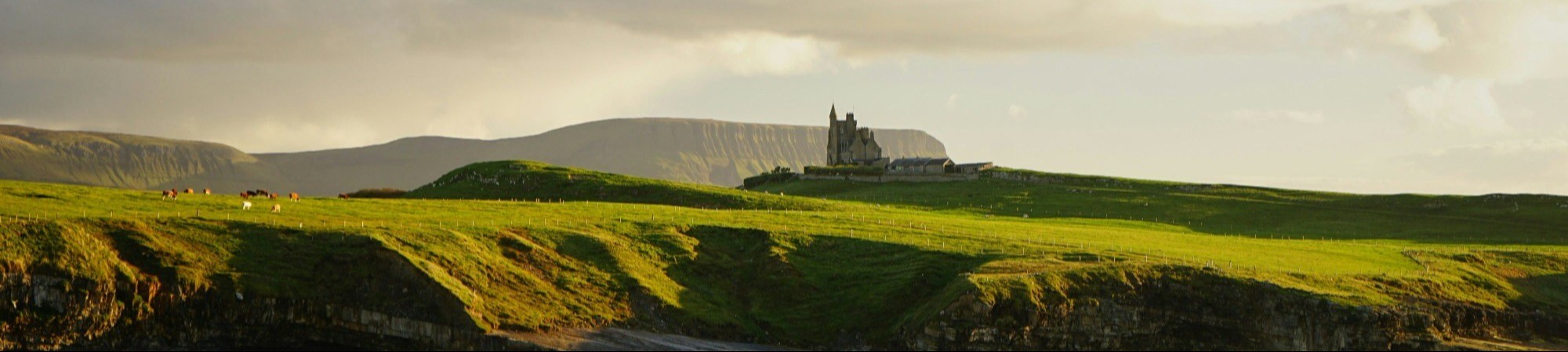 Banner Default Image