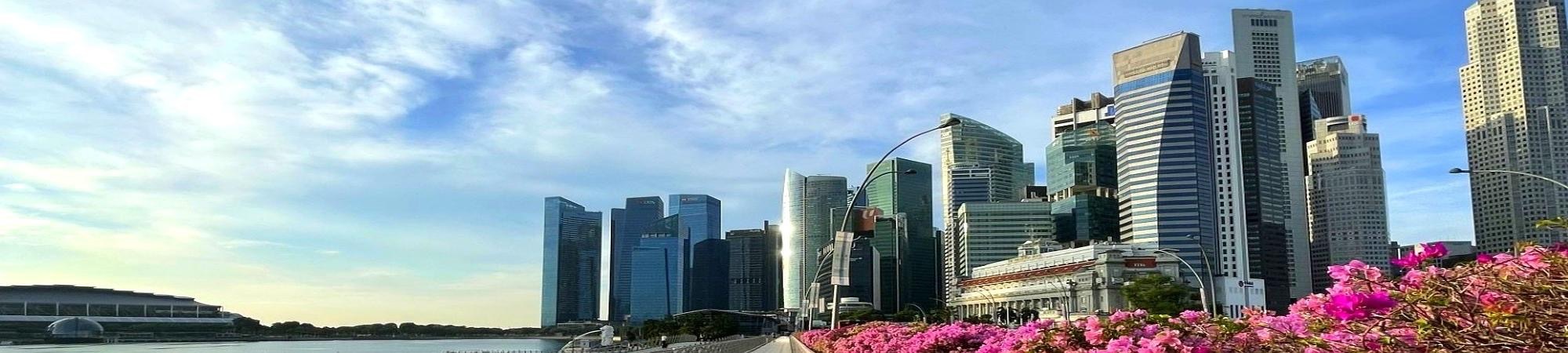 Image 2025 12 05 T05 26 07